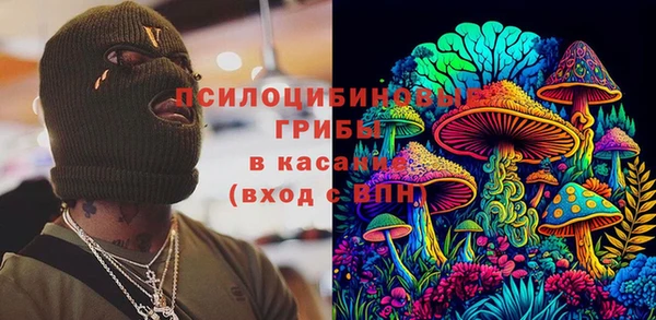 ПСИЛОЦИБИНОВЫЕ ГРИБЫ Нефтекумск