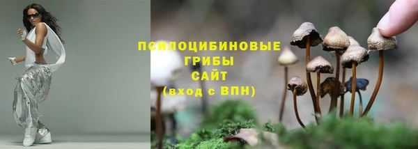 ECSTASY Нея