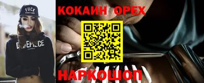 спайс Гусев