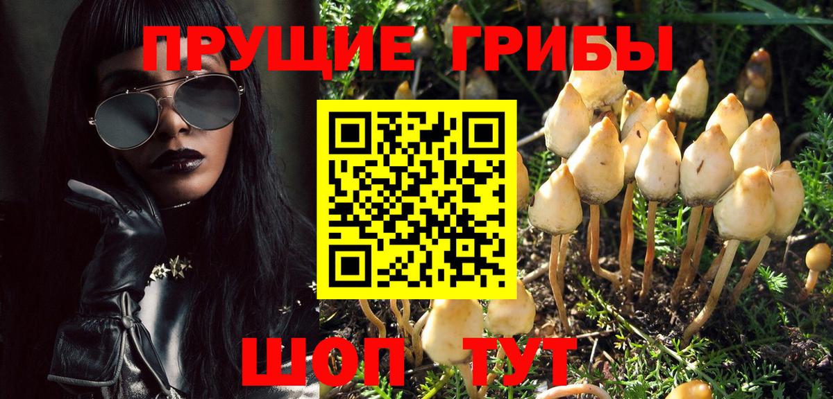 Галлюциногенные грибы MAGIC MUSHROOMS  Вход с VPN  Шарыпово  Псилоцибиновые грибы мицелий 