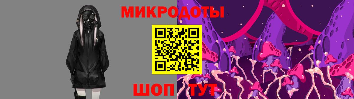 Псилоцибиновые грибы Psilocybine cubensis Шарыпово